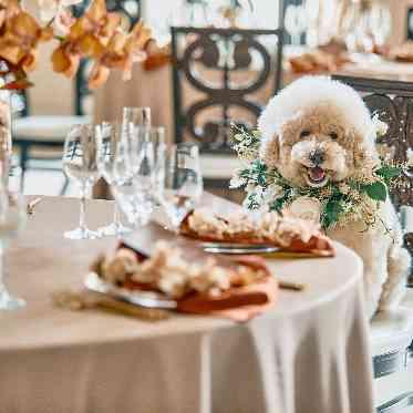 ヒルサイドクラブ迎賓館(八王子)/テイクアンドギヴ・ニーズウェディング 大切なペットもご一緒に