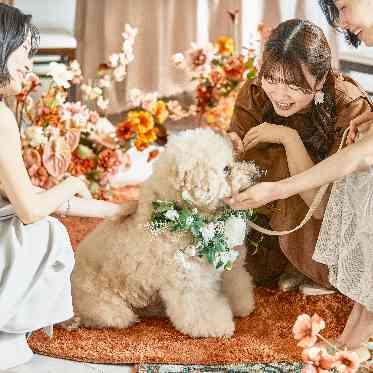 BAYSIDE GEIHINKAN VERANDA/テイクアンドギヴ・ニーズウェディング 貸切だからペットウエディングも可能