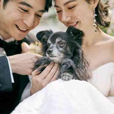 アクアテラス迎賓館(新横浜)/テイクアンドギヴ・ニーズウェディング ペットと一緒の結婚式もOK!パーティ会場も一緒に過ごせるので安心♪