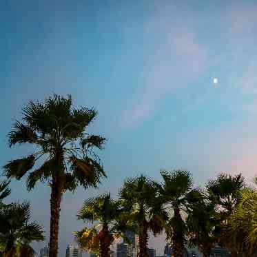 コットンハーバークラブ(横浜)/テイクアンドギヴ・ニーズウェディング マジックアワーは午後の結婚式で味わえる特権!