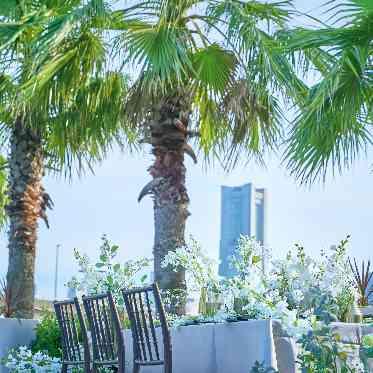 コットンハーバークラブ(横浜)/テイクアンドギヴ・ニーズウェディング 開放的なガーデンも一組貸切に