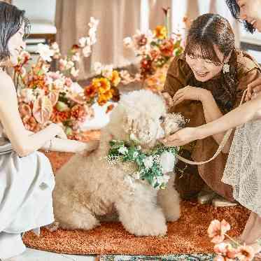 茅ヶ崎迎賓館/テイクアンドギヴ・ニーズウェディング 大切なペットもご一緒に