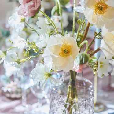 コーディネート