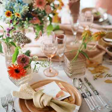 コーディネート