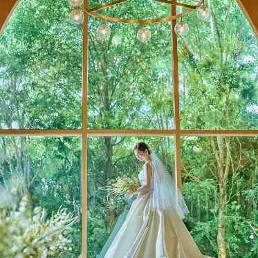 ベイサイドパーク迎賓館(千葉みなと)/テイクアンドギヴ・ニーズウェディング 緑と光降り注ぐ、全天候型の千葉県内で唯一無二の森のチャペル誕生!!