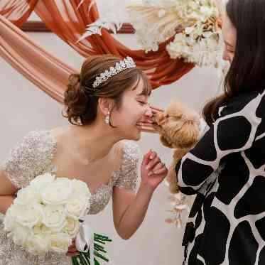 18 （アンウィット) Produced by Casa d' Angela 人気のペット婚