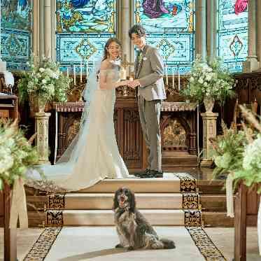 リングドッグイメージ