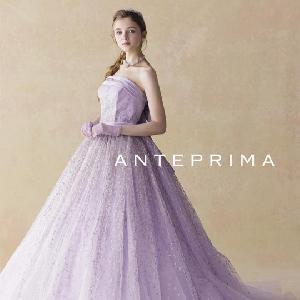 キャメロットヒルズ ANTEPRIMA0080