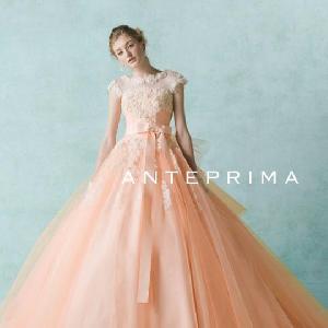 キャメロットヒルズ ANTEPRIMA0093