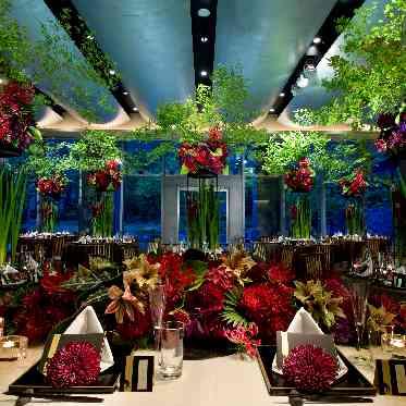 響 風庭 赤坂 幻想的なナイトウェディングも素敵