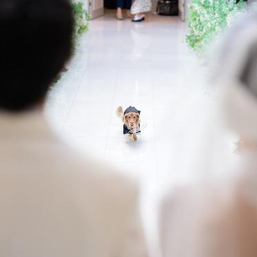 長良川清流ホテル ペットも参加ok