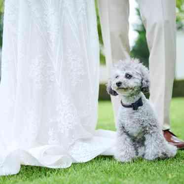 アーセンティア迎賓館（浜松）/テイクアンドギヴ・ニーズウェディング 貸切邸宅で過ごす特別な1日