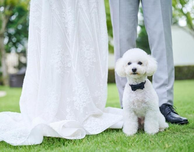 ニーズ静岡ベイ by T&G WEDDING(旧 ベイサイド迎賓館 静岡) 挙式会場