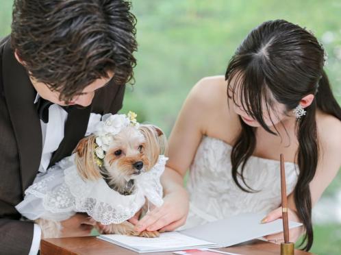 ザ ナンザン ハウス（THE NANZAN HOUSE NAGOYA） 披露宴会場