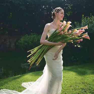 ザ ナンザン ハウス(THE NANZAN HOUSE NAGOYA) TREATのドレス