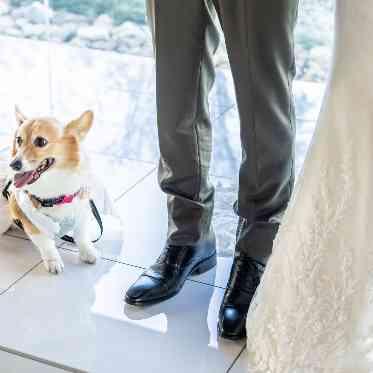 ペット婚OK◎