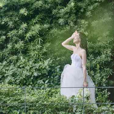 ウェスティンホテル横浜 あなたを輝かすナチュラルグリーン
ブランドホテル×自然が魅了する