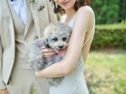 山手迎賓館（神戸）/テイクアンドギヴ・ニーズウェディング ガーデン