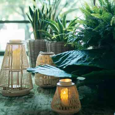 TIAD, オートグラフ コレクション(ティアド, オートグラフ コレクション) 王道からこだわりの花材まで、フラワーコーディネーターがご提案。