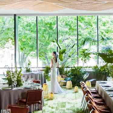 TIAD, オートグラフ コレクション（ティアド, オートグラフ コレクション） 森の中で過ごすことができるような圧倒的なロケーションをぜひ体感して。