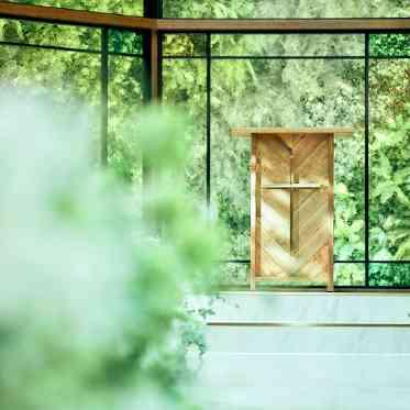 アルモニーアンブラッセ イットハウス/テイクアンドギヴ・ニーズウェディング 緑×木の美しい組み合わせ