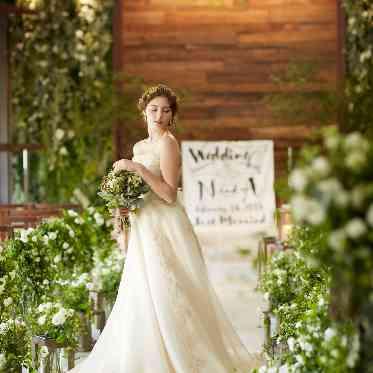 ア・ラ・モードパレ&ザ・リゾート デフォルトでグリーンの装飾がついているので価格も抑えてコーディネートが可能!