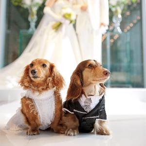 ラグナヴェール大阪(LAGUNAVEIL OSAKA) 【6F】愛犬と一緒に挙式ができる