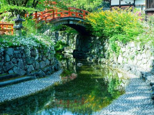 京都ノーザンチャーチ北山教会 ガーデン