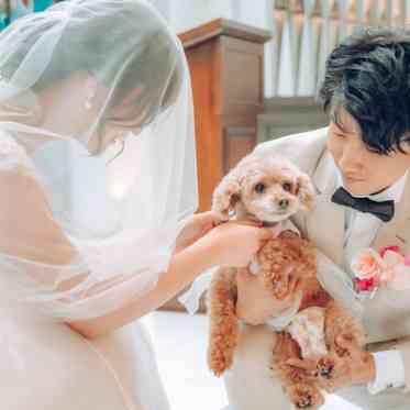 アイネスヴィラノッツェ大阪●クラウディアホールディングス ペットも一緒に結婚式が叶います