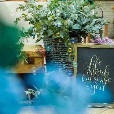 アイネスヴィラノッツェ大阪●クラウディアホールディングス ガーデンも自由にコーディネート