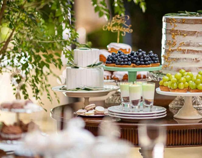 アイネスヴィラノッツェ大阪●クラウディアホールディングス ガーデン