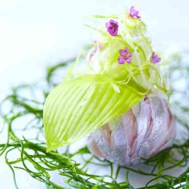 アイネスヴィラノッツェ大阪●クラウディアホールディングス 素材は鮮度・産地にこだわって