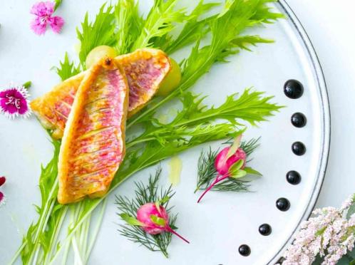 アイネスヴィラノッツェ大阪●クラウディアホールディングス 料理