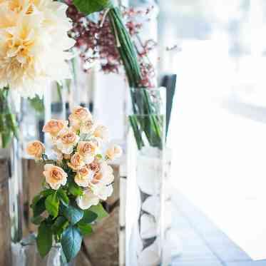 トータルコーディネート