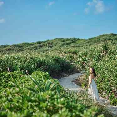 海だけではない、宮古島の緑豊かな大自然に囲まれたフォト撮影を