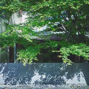 FUNATSURU KYOTO KAMOGAWA RESORT（鮒鶴京都鴨川リゾート） 竹林と青紅葉が美しい