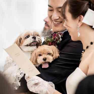 グランドプリンスホテル大阪ベイ ホテルでペットOKなのは大阪で当館のみです