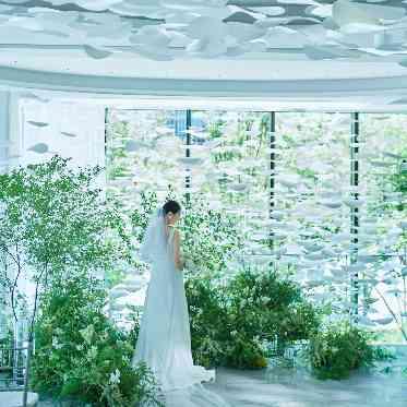 ザ ジャクソン ガーデン（THE JACKSON GARDEN） 当日の写真撮影も楽しみになる美空間