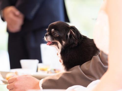 ザ ジャクソン ガーデン（THE JACKSON GARDEN） 披露宴会場