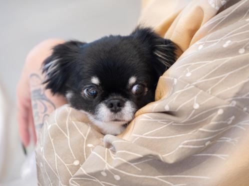 ザ ジャクソン ガーデン（THE JACKSON GARDEN） 披露宴会場