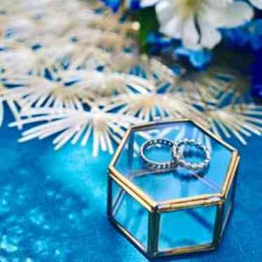 musee yotsuike(ミュゼ四ツ池) リングピロー