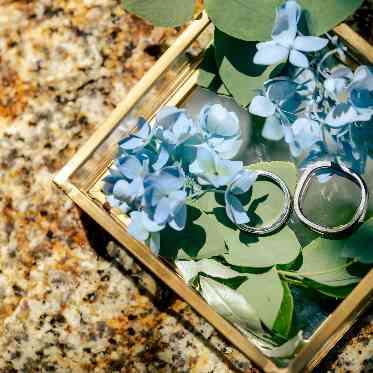 musee yotsuike(ミュゼ四ツ池) ガーデンセレモニー