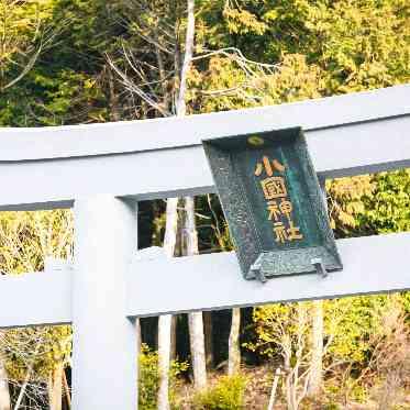 ｍｕｓｅｅ　ｙｏｔｓｕｉｋｅ(ミュゼ四ツ池) 初詣や子孫繁栄に訪れる方も多い神社です。