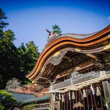 musee yotsuike(ミュゼ四ツ池) 小國神社