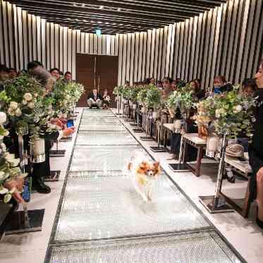 musee yotsuike(ミュゼ四ツ池) おふたりの元に大切な指輪を届けるリングドッグ