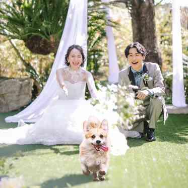 ｍｕｓｅｅ　ｙｏｔｓｕｉｋｅ(ミュゼ四ツ池) ガーデンでペットと一緒にセレモニー