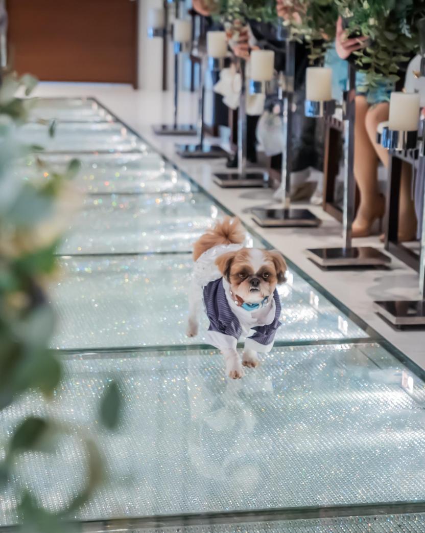 ｍｕｓｅｅ　ｙｏｔｓｕｉｋｅ(ミュゼ四ツ池) ロビー・控室