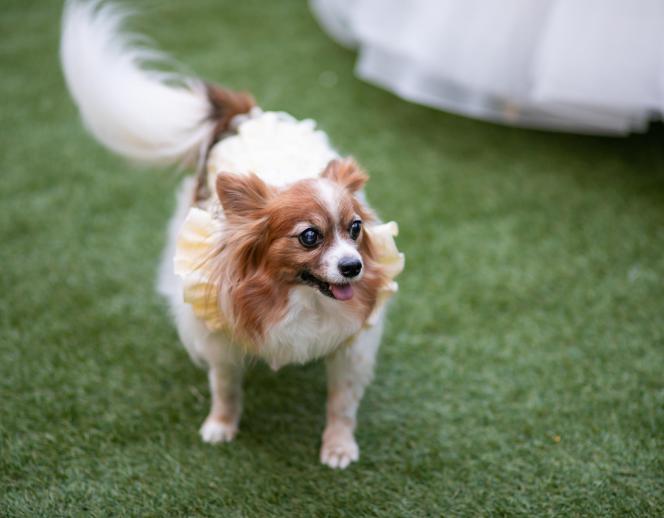 ｍｕｓｅｅ　ｙｏｔｓｕｉｋｅ(ミュゼ四ツ池) ロビー・控室