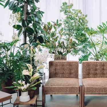 recipe(レシピ) 選べるおふたりの椅子