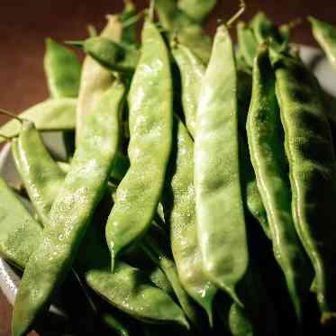 recipe(レシピ) こだわりの食材